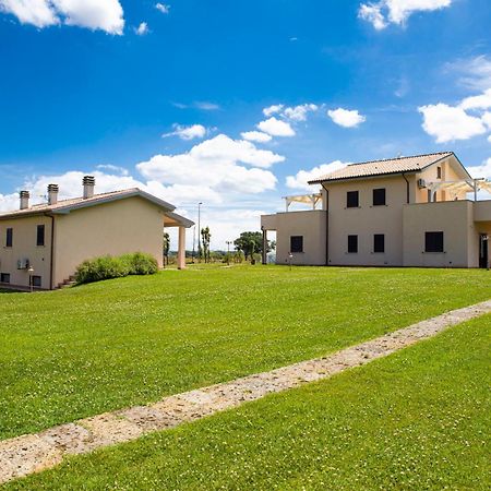 Podere Giovanni Olivo Tarquinia Kültér fotó