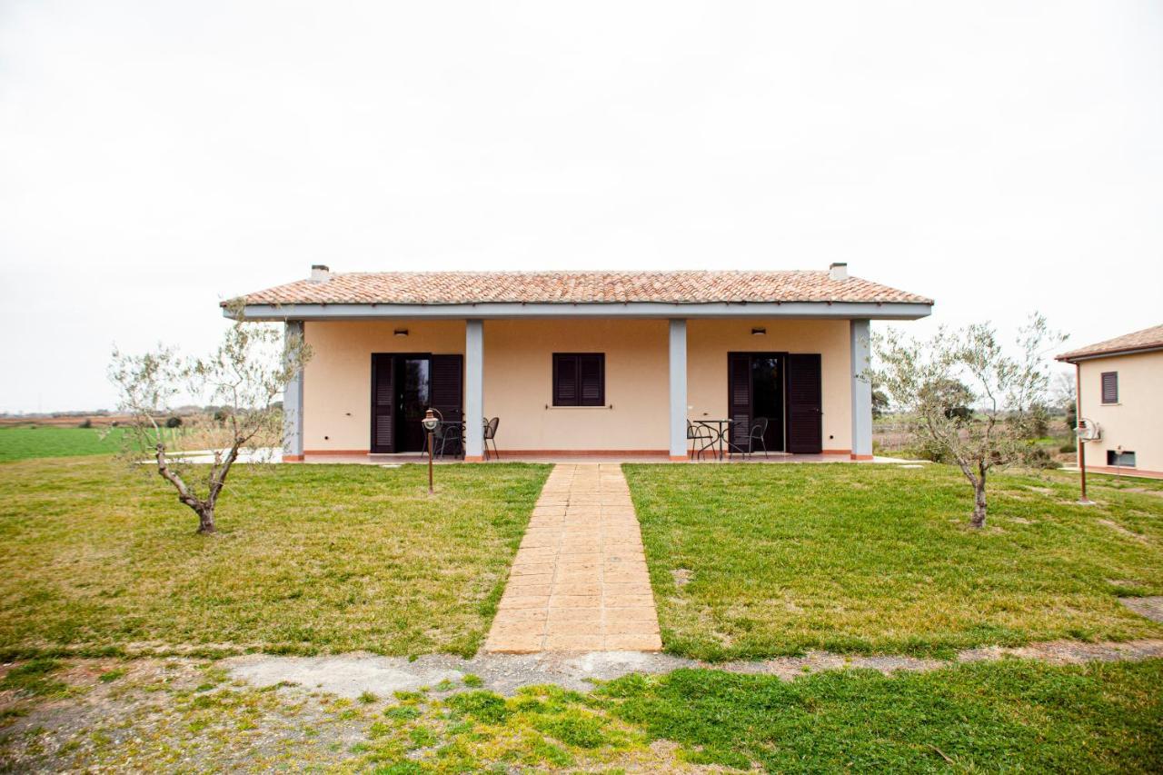 Podere Giovanni Olivo Tarquinia Kültér fotó