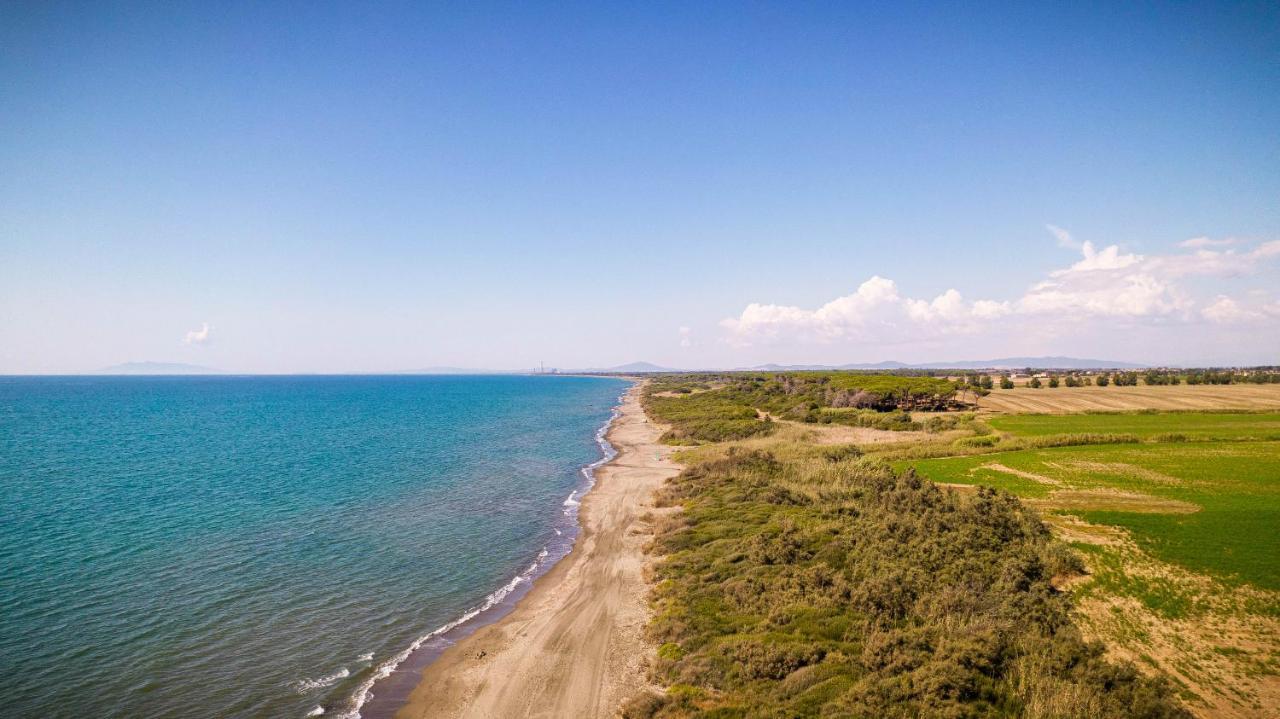 Podere Giovanni Olivo Tarquinia Kültér fotó