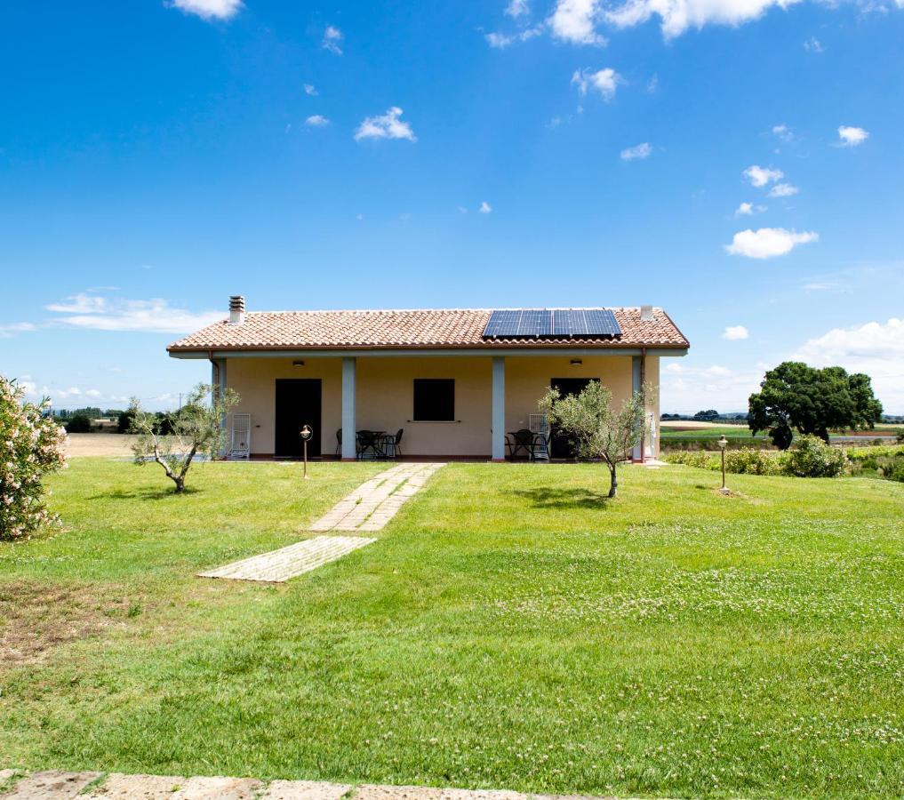 Podere Giovanni Olivo Tarquinia Kültér fotó